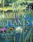 Encyclopedia of Water Garden Plants; Greg and Sue Speichert