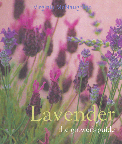 Lavender; Virginia McNaughton Gram
